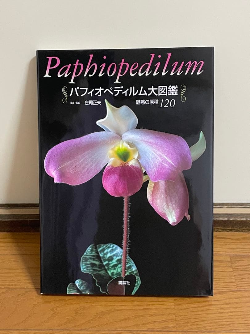 「パフィオペディルム大図鑑 魅惑の原種120」