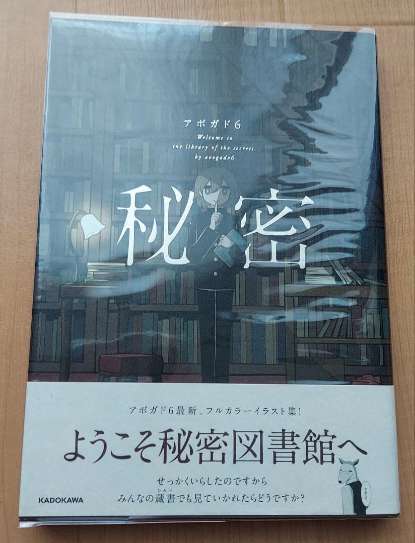 アボガド6 セット