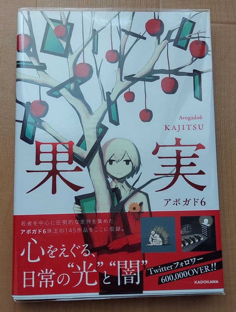 アボガド6 セット
