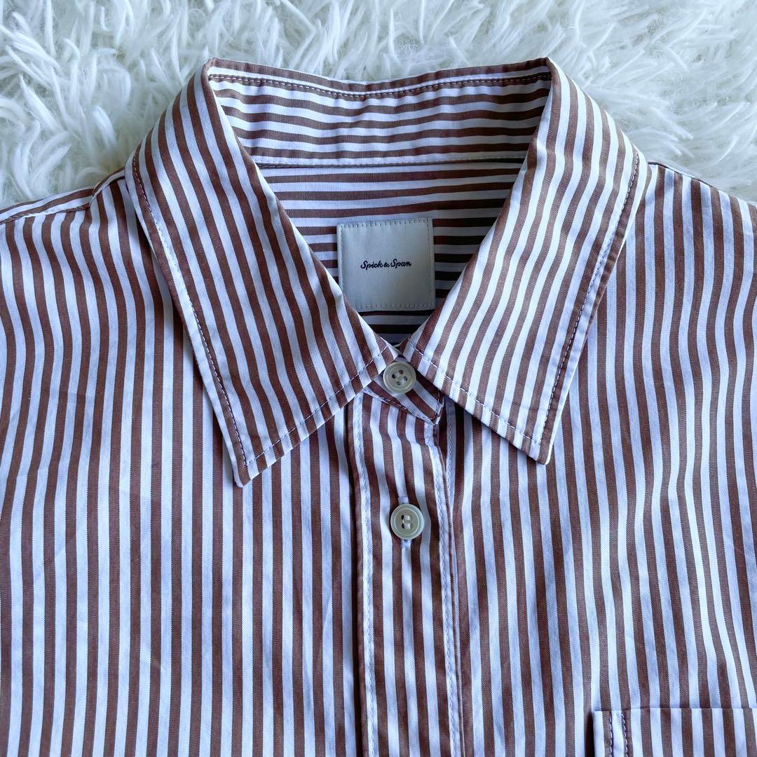 24AW✨美品✨スピックアンドスパン ストライプシャツ 長袖 茶色　白