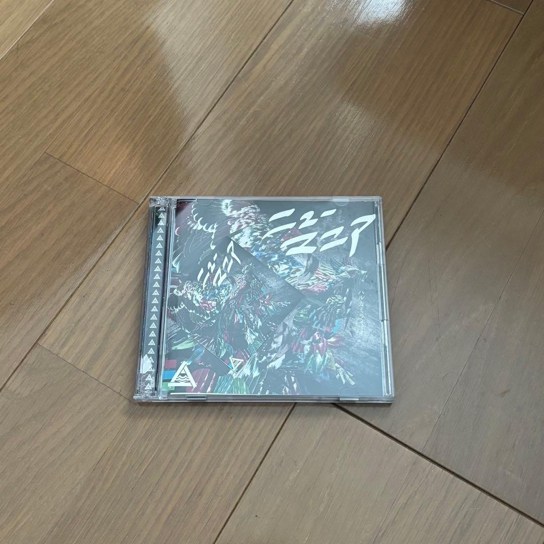 ハルカミライ　CD・DVD 4点セット