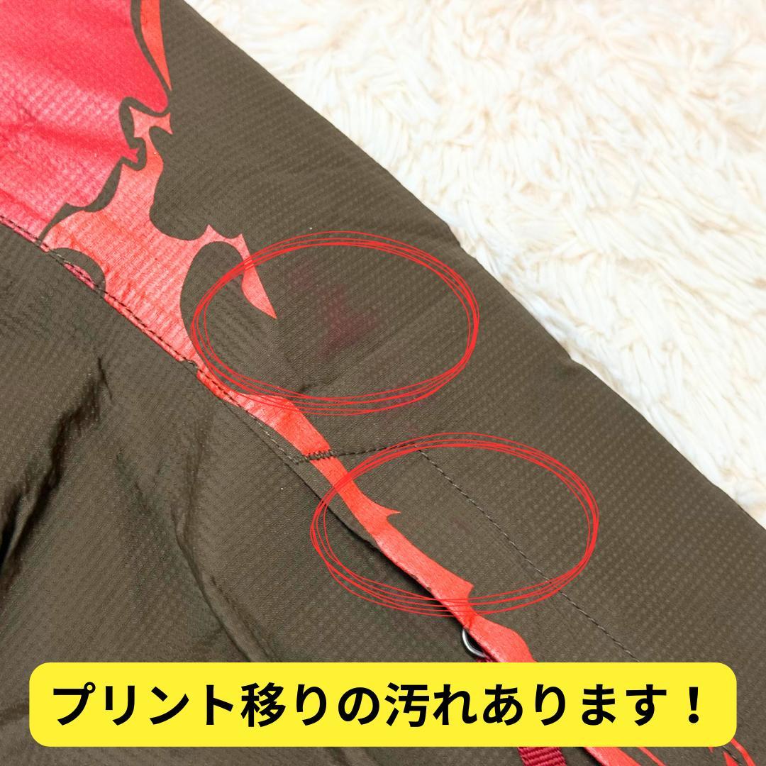 ⭐超激レア　限定500着　ノースフェイス　MIMBRE JACKET　スキー