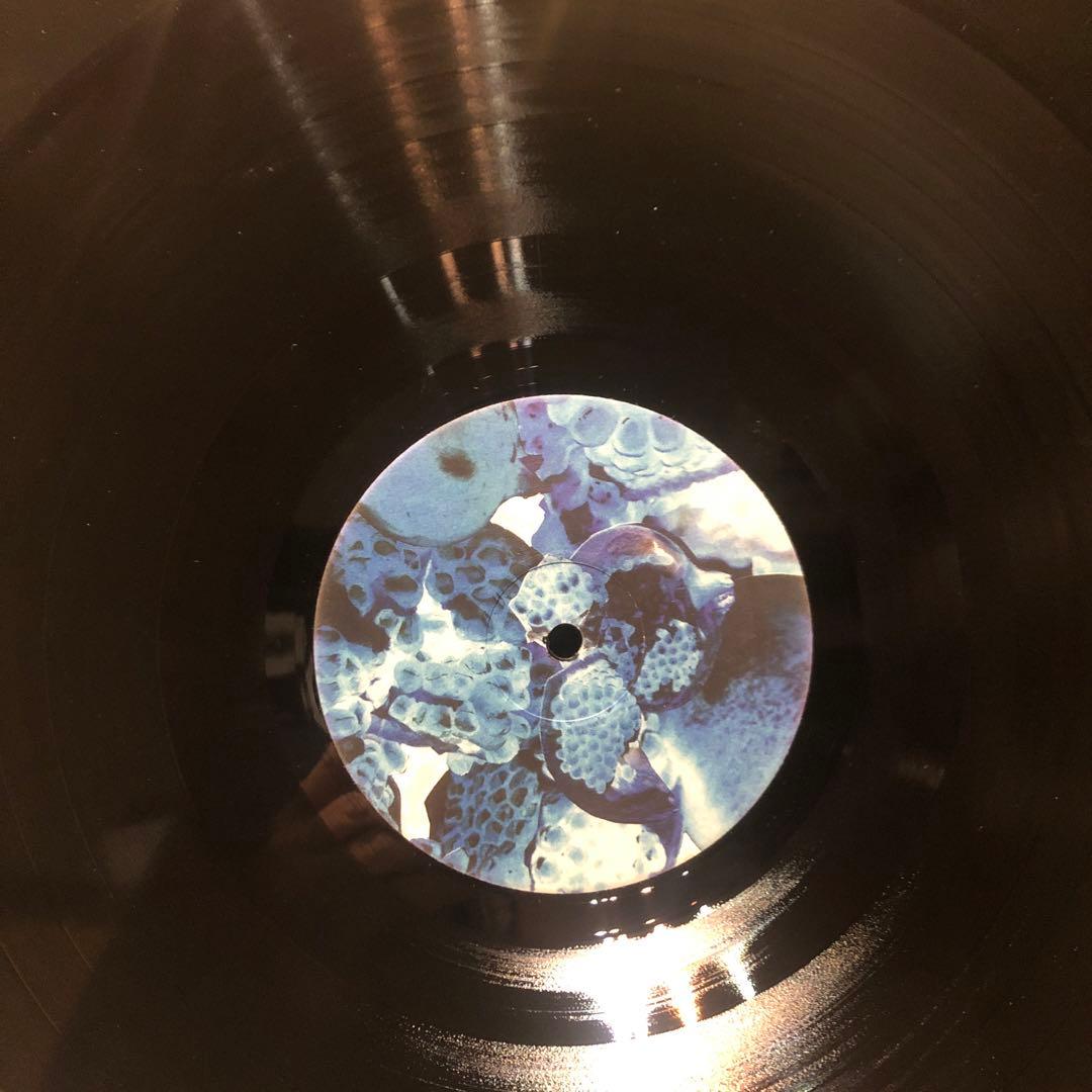 FOALS UKオリジナル　レコード