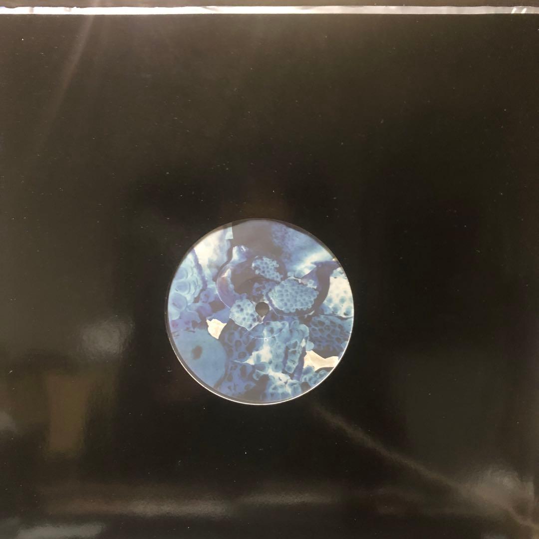 FOALS UKオリジナル　レコード