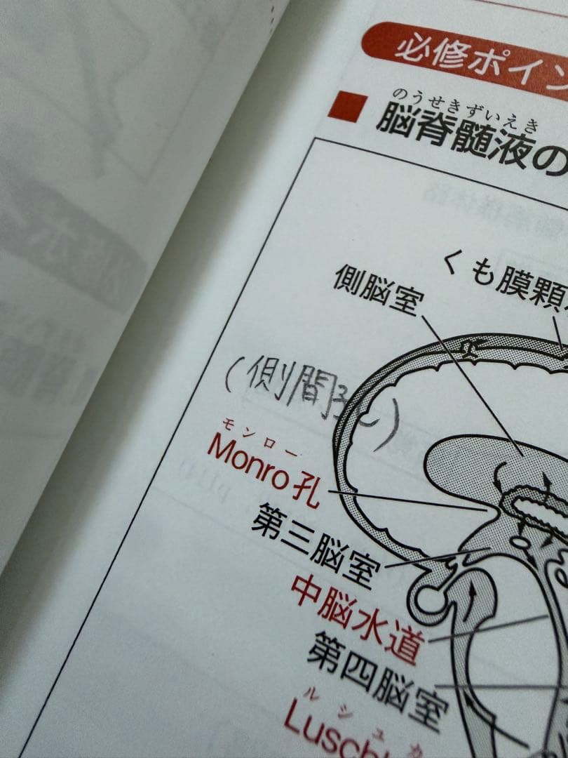 作業療法士 国家試験 テキスト4冊セット PTOT国家試験必修ポイント