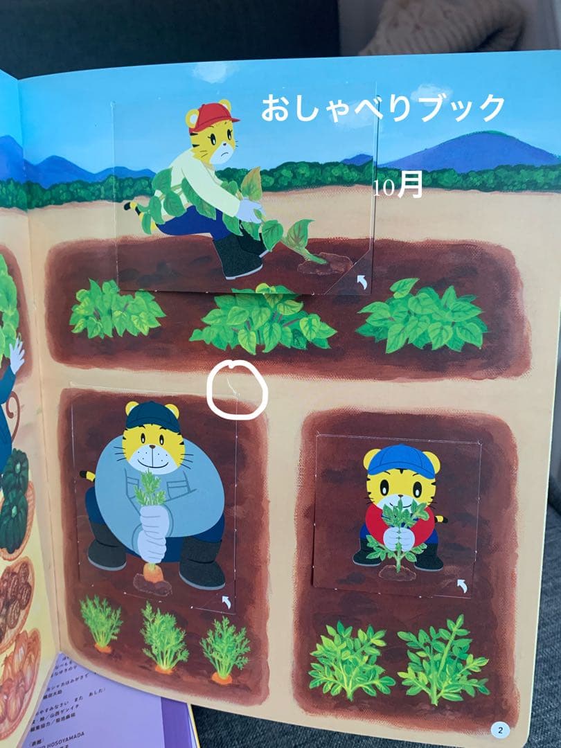 【美品】ベネッセ　しまじろう　こどもちゃれんじぽけっと　おしゃべりぶっく