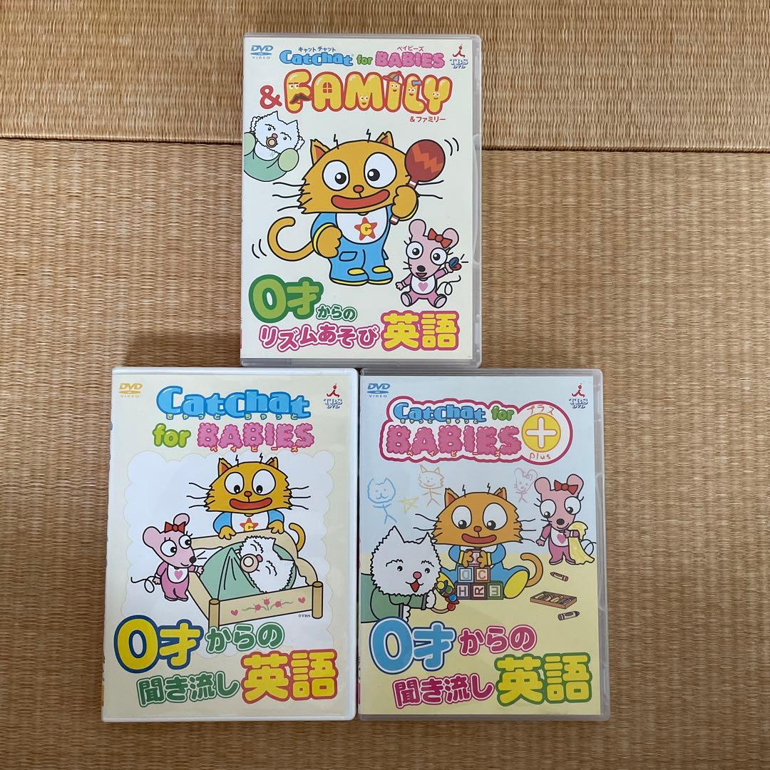 Cat Chat DVD 8枚セット