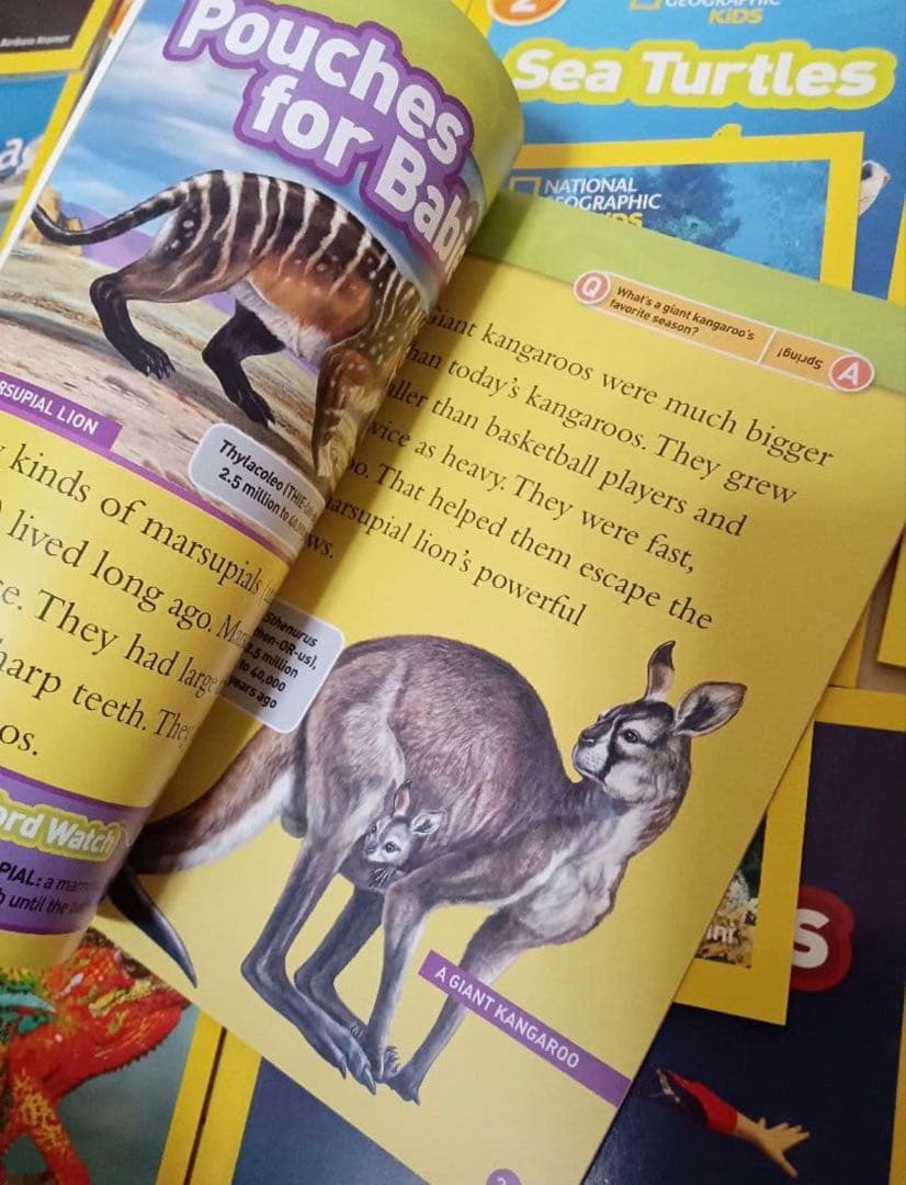 最新41冊★NATIONAL GEOGRAPHIC KIDS ReadersL2