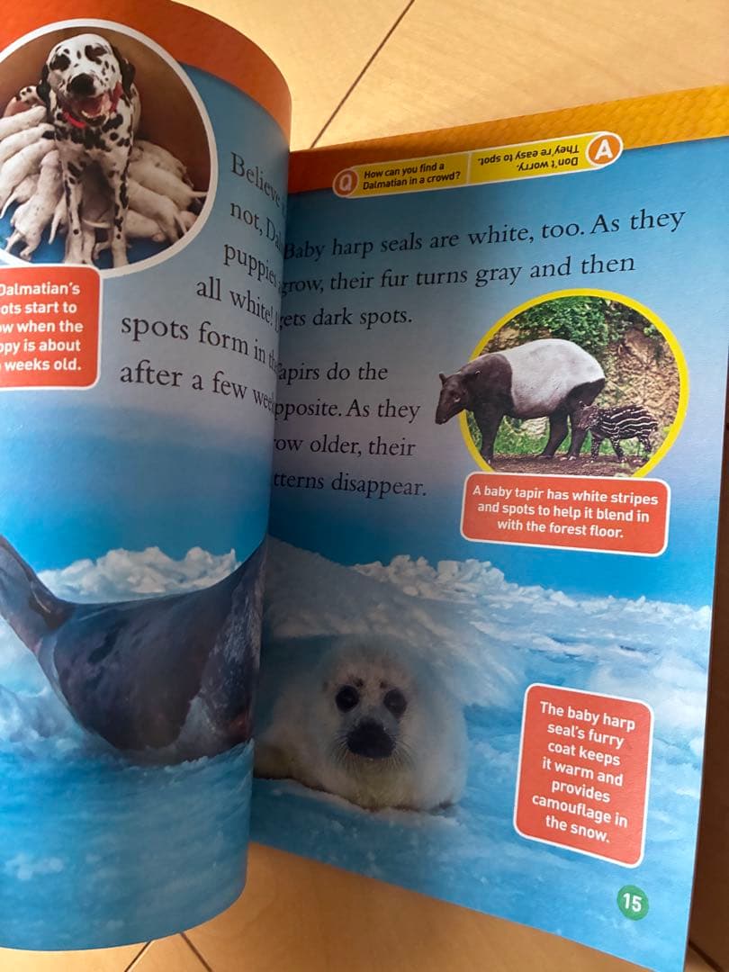 最新41冊★NATIONAL GEOGRAPHIC KIDS ReadersL2