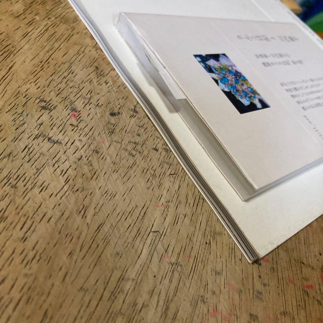 「りんこ日記 2」（サイン本)、「花火」 川内倫子写真集　２冊セット