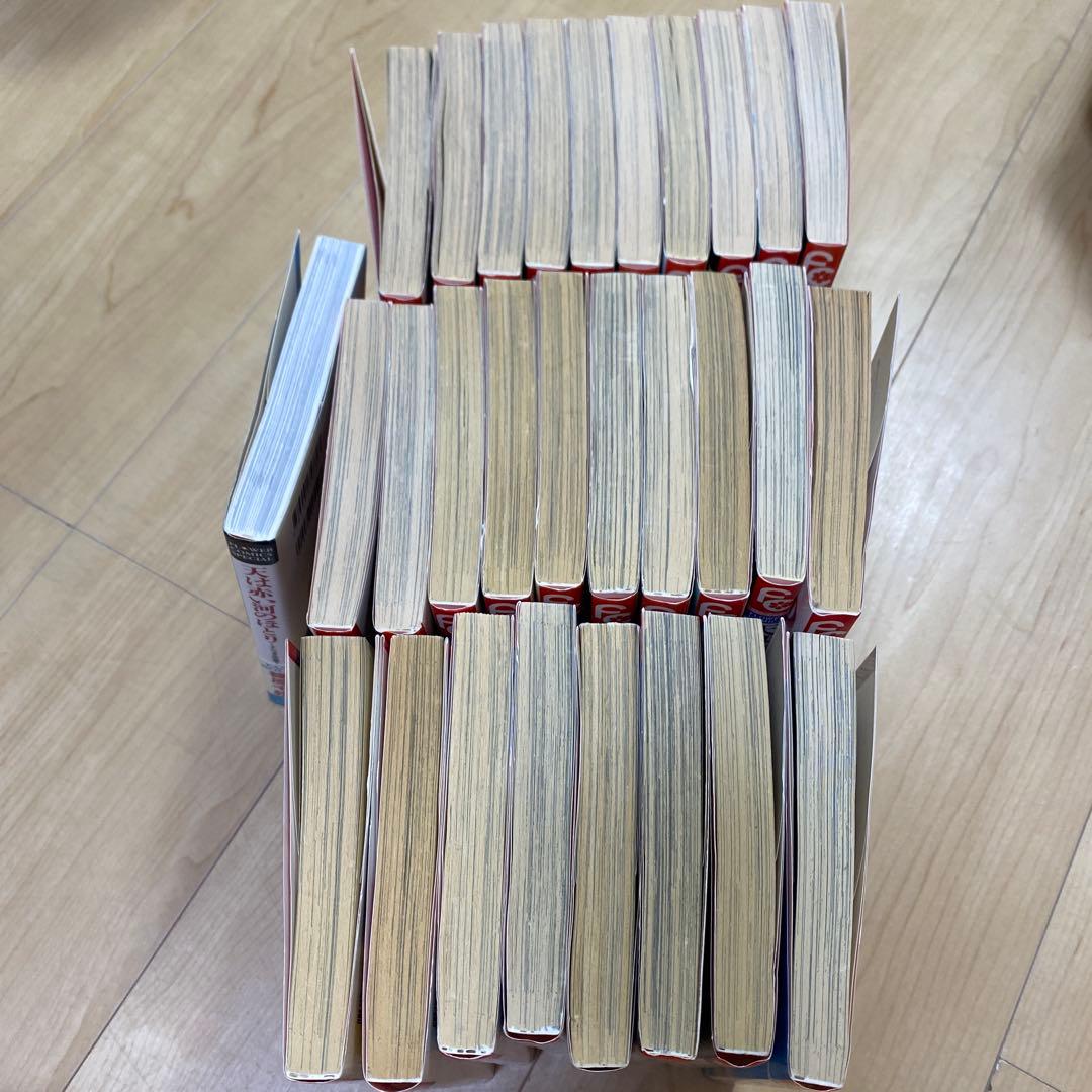天は赤い河のほとり　１巻〜全２８巻➕ファンブック付き
