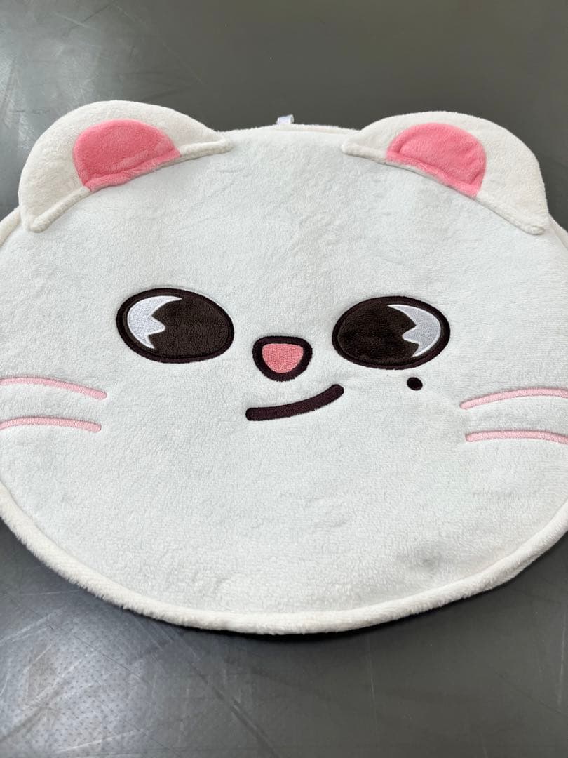 Stray kids スキズ うちわ うちわケース ヒョンジン ジニレット