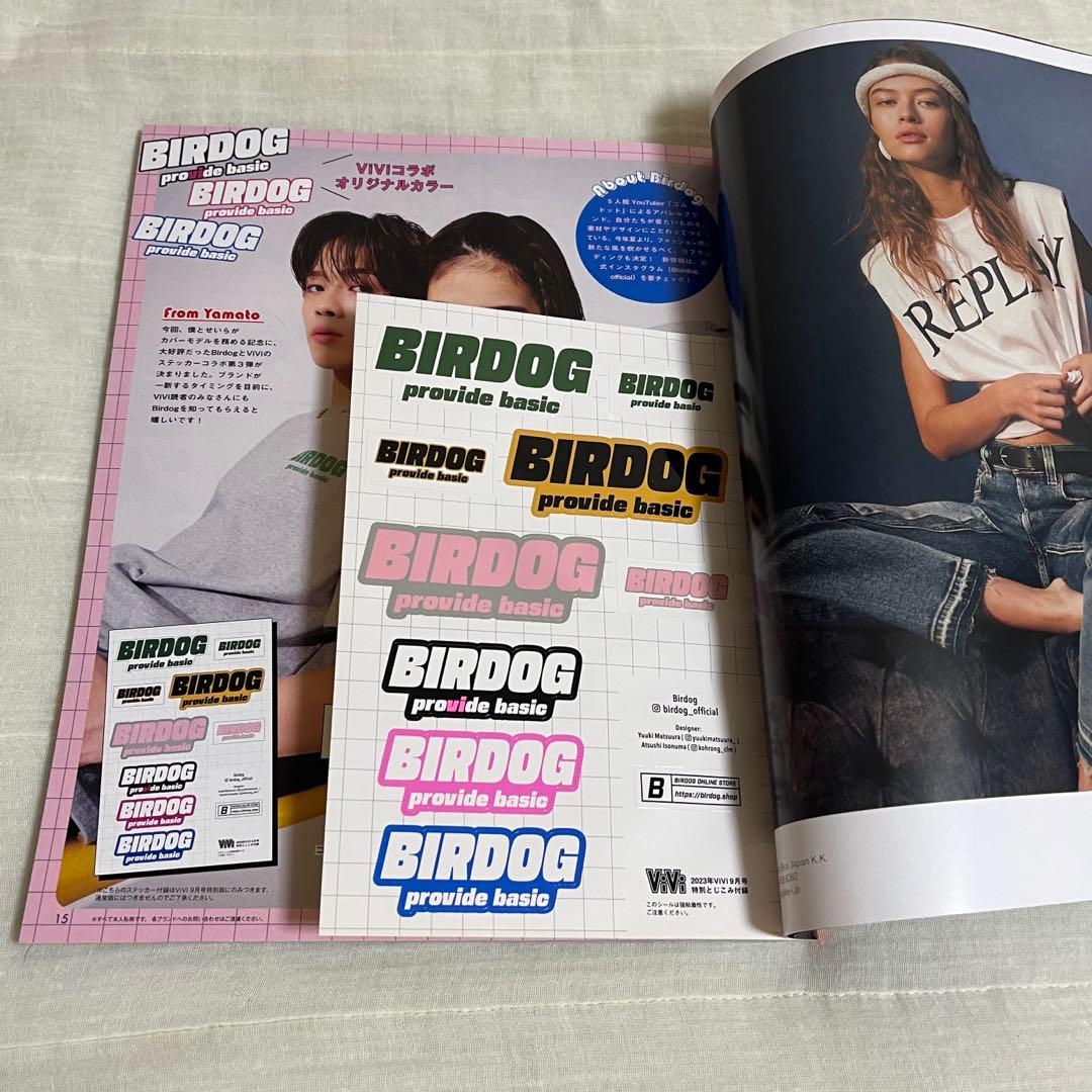 せいら 雑誌まとめ売り（vivi）