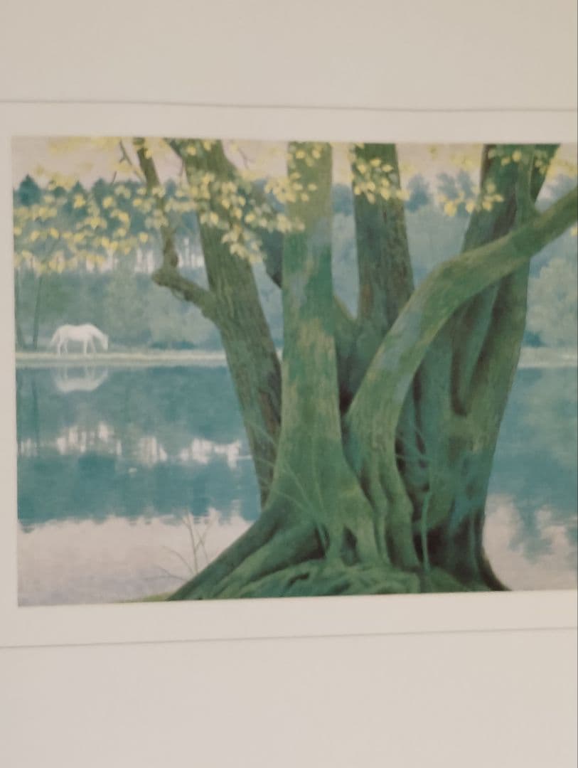 白い馬の見える風景―東山魁夷画集 大型本 – 1973年版