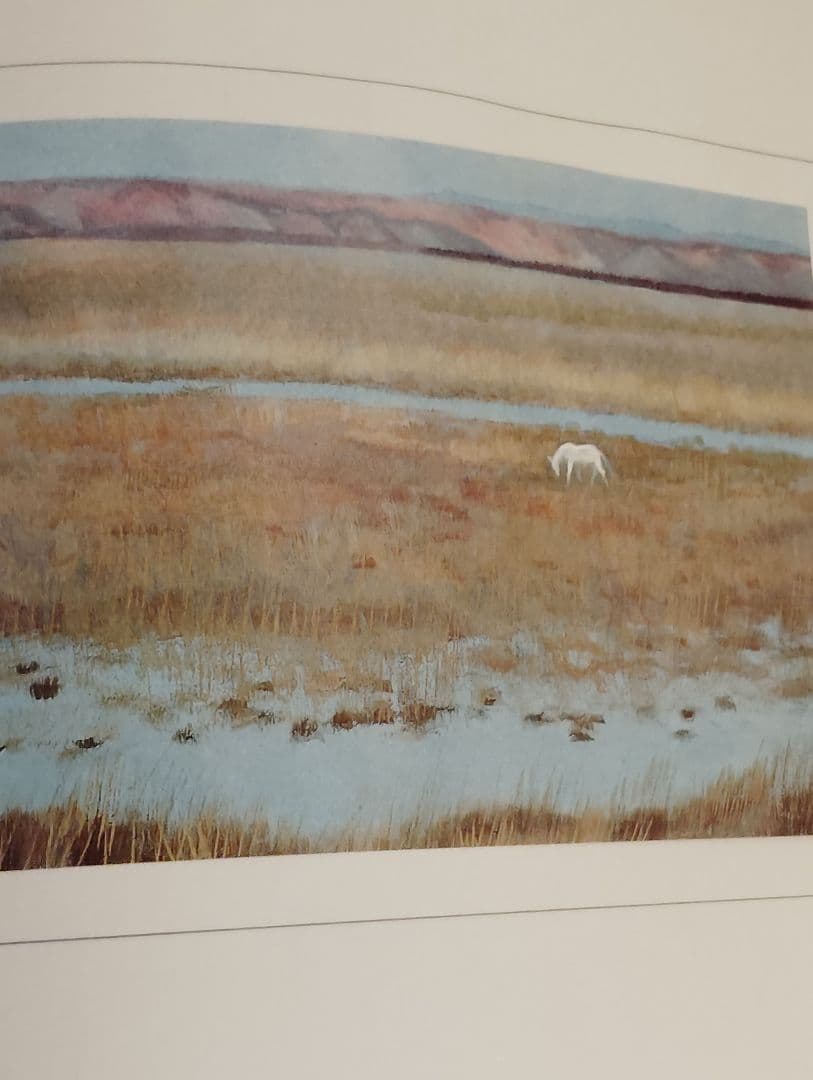 白い馬の見える風景―東山魁夷画集 大型本 – 1973年版