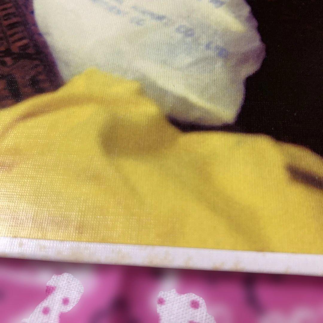【未視聴】スピッツ 三日月ロックアナログ 初回プレス盤