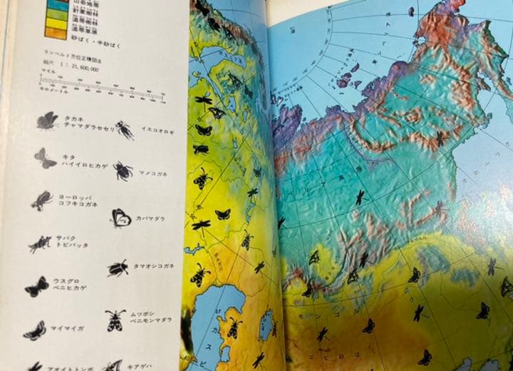 廃盤品　学研研究社　図鑑　1-20全巻＋別巻総索引＋原色ワイド続巻5冊　セット