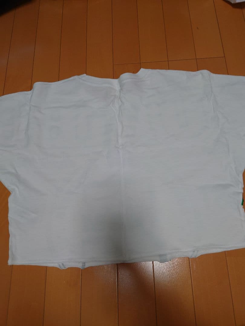 ZUMBA ズンバ クロップドウェア Tシャツ 4枚セット
