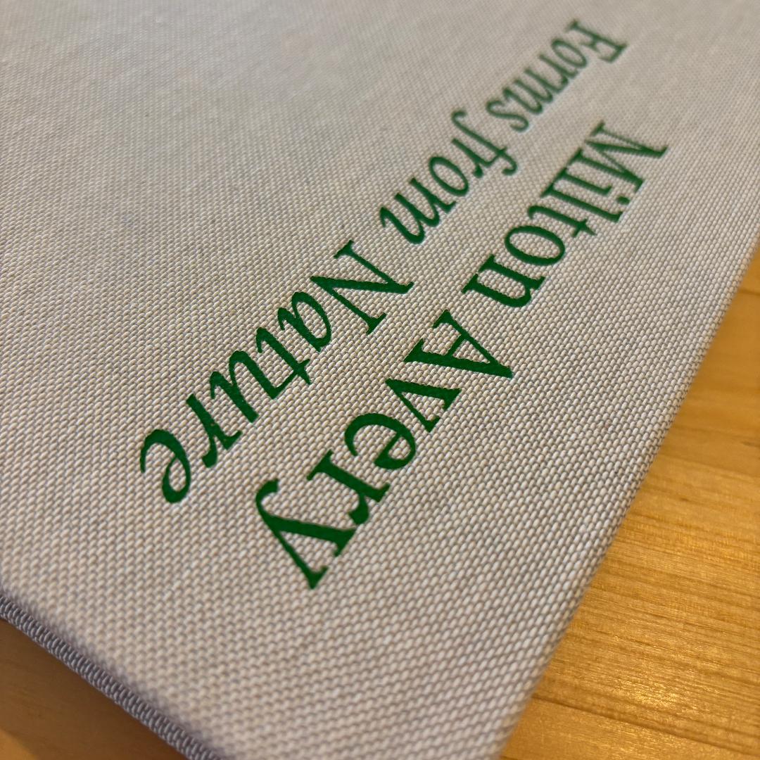 アート・デザイン・音楽 Milton Avery / Forms from Nature