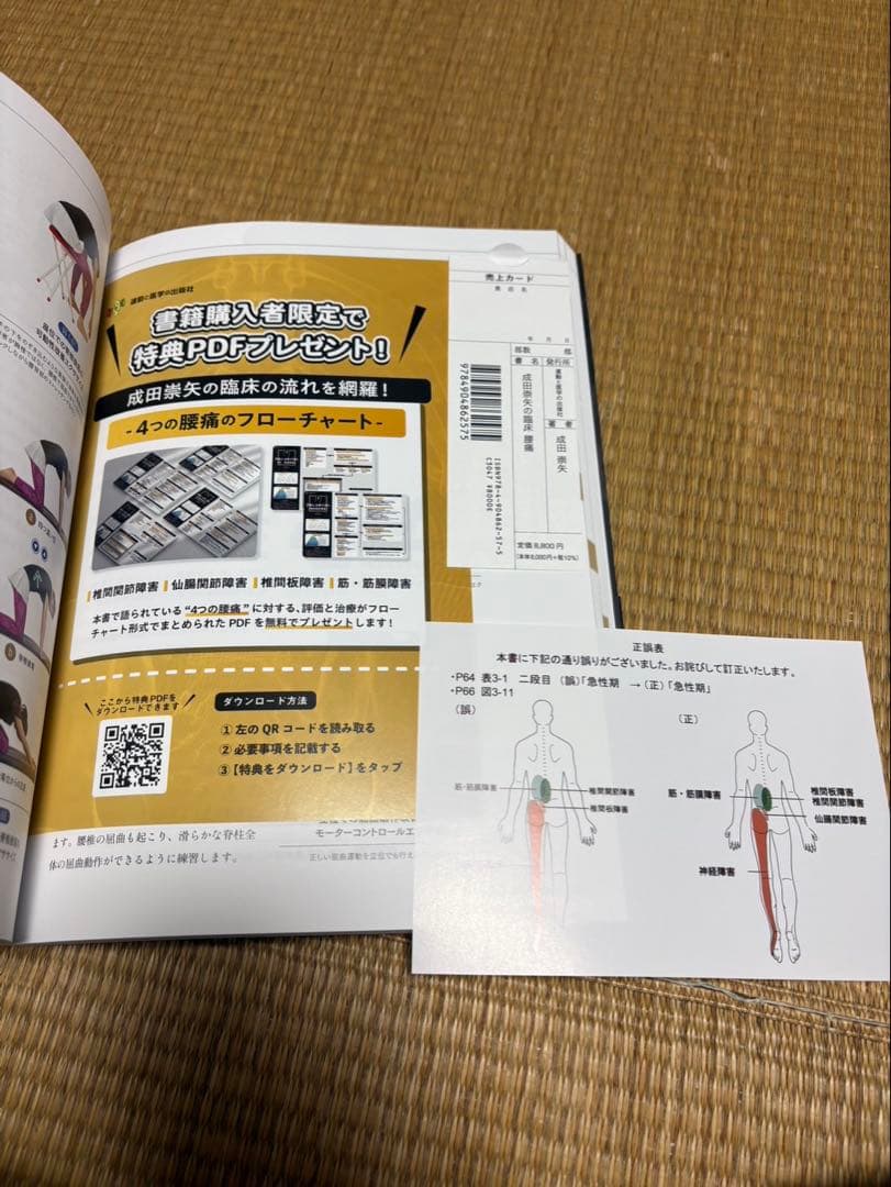 腰痛 成田崇矢の臨床