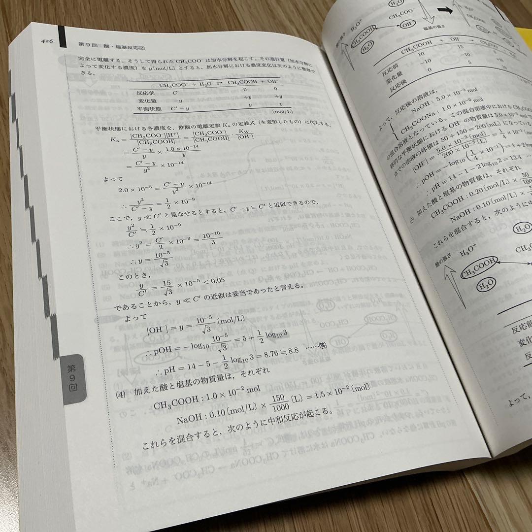 化学発展講座 上下巻 セット 理論化学編 鉄緑会