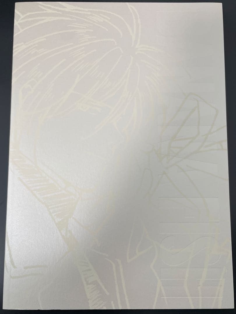 BANANA FISH ART & STAFF BOOK ＋ クリアファイル