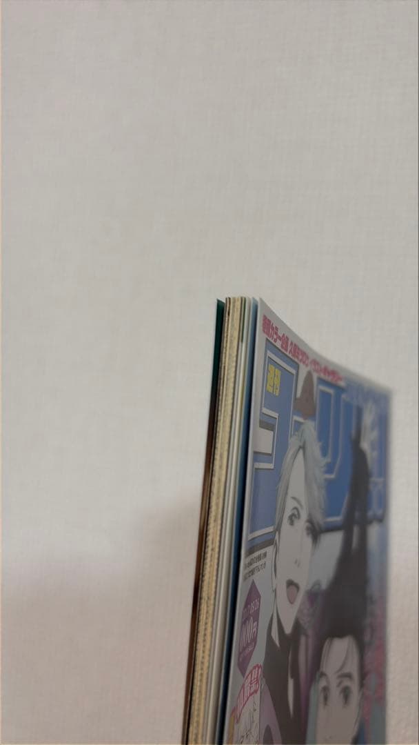 週刊ユーリ!!! on ICE 番外編 全巻購入特典 小冊子 久保ミツロウ 漫画