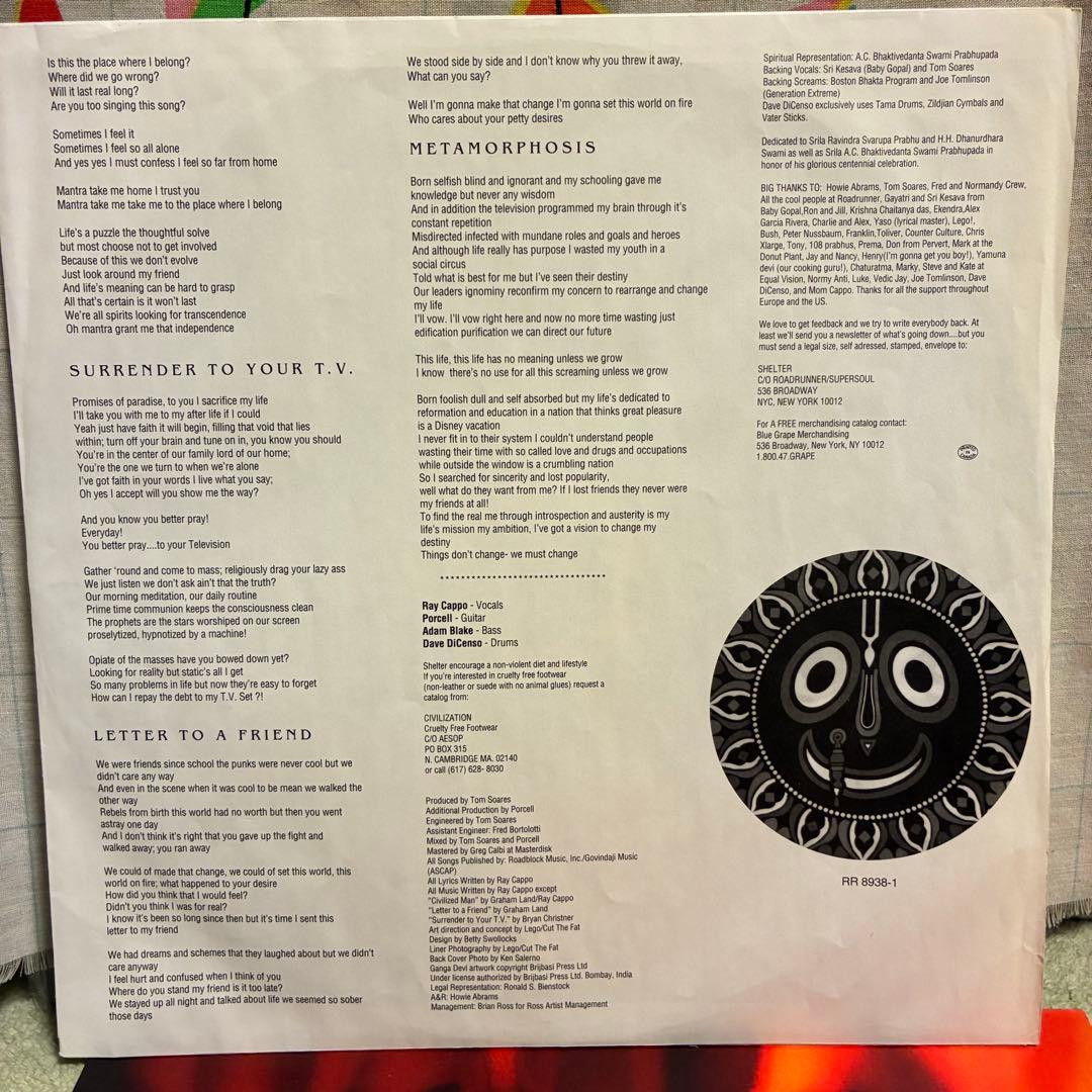 shelter/ mantra レコード