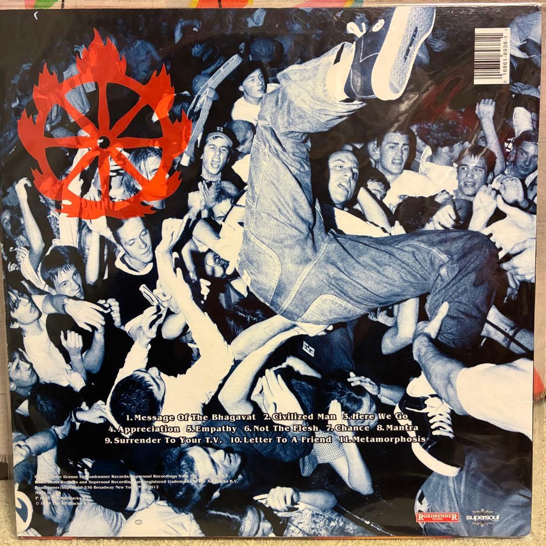 shelter/ mantra レコード
