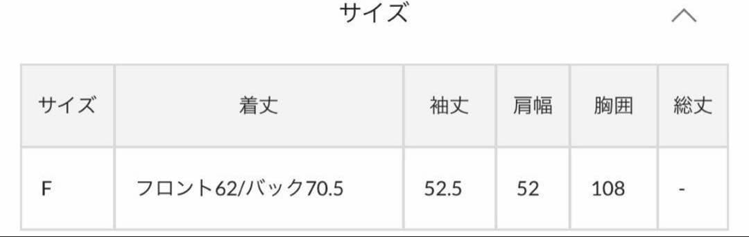 【ガリャルダガランテ】バックスリットブラウス　ベージュ