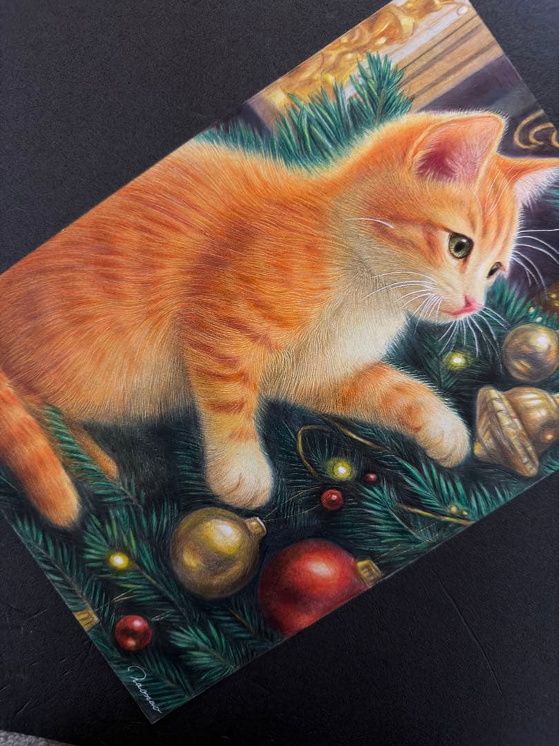 色鉛筆画A4 茶トラ白 仔猫