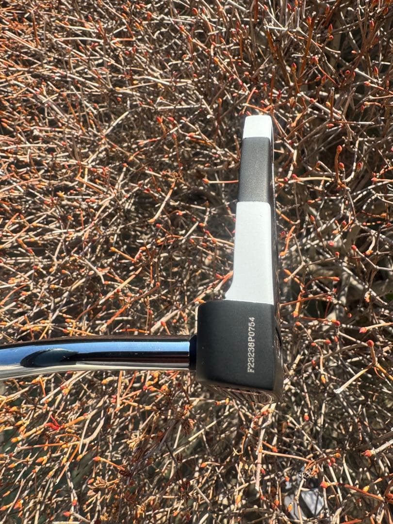 美品 ODYSSEY LIMITED EDITION JAILBIRD 380