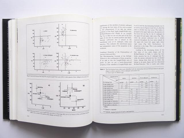 洋書◆陶器と農業の起源 本