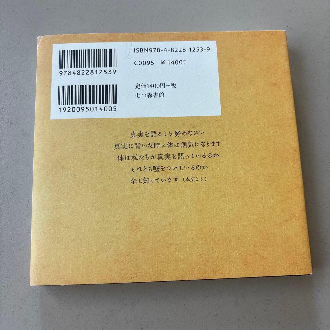 5555円　ホーミタクヤセン インディアンの癒しの言葉