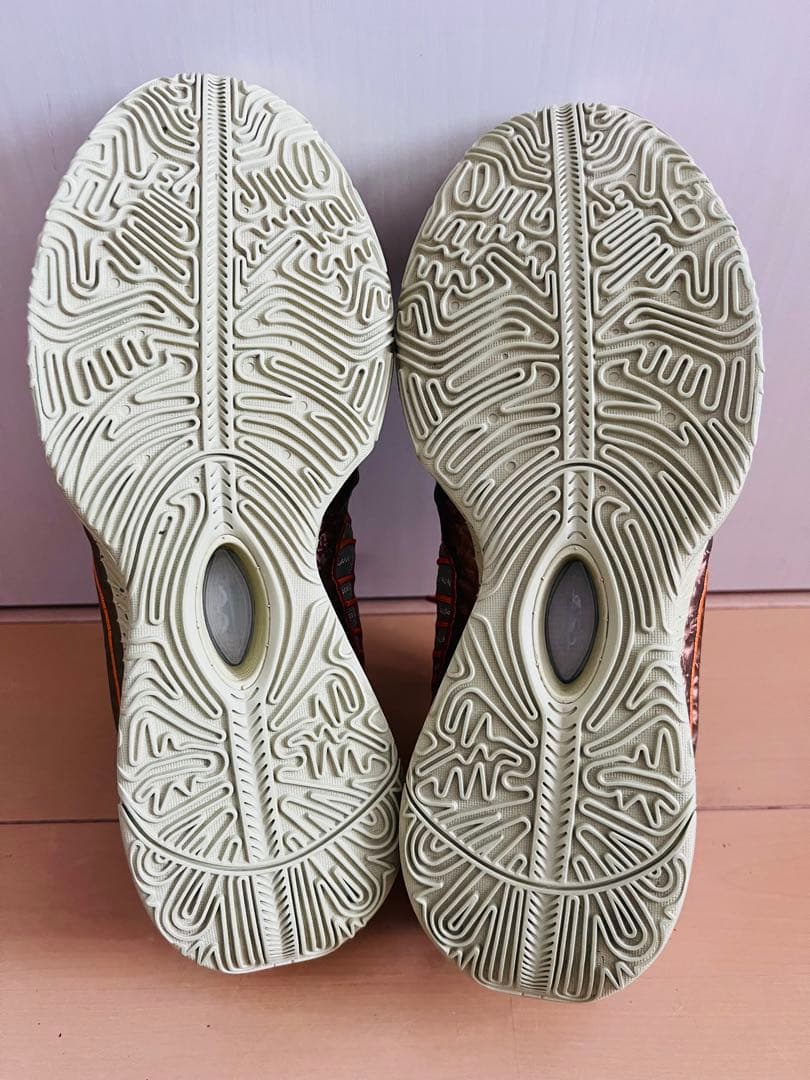 シューズ(男性用) Nike LeBron 21 \"Queen Conch\" 30cm
