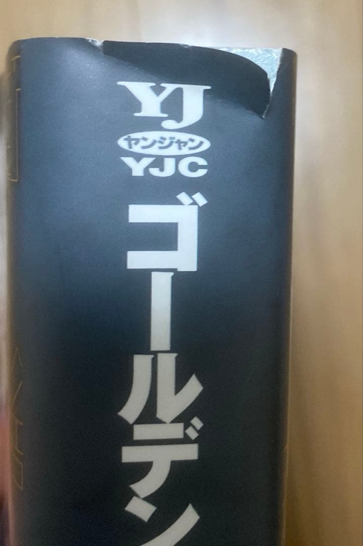 【6冊セット】ゴールデンカムイ 集英社ジャンプリミックス　キャラクターリミックス
