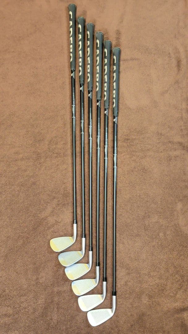 限定品 PXG 0211 CAST IRONS ６本セット 標準カーボンシャフト