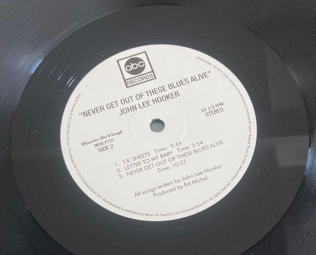 ◾️ブルース傑作■JOHN LEE HOOKER■ジョンリーフッカー■ Never
