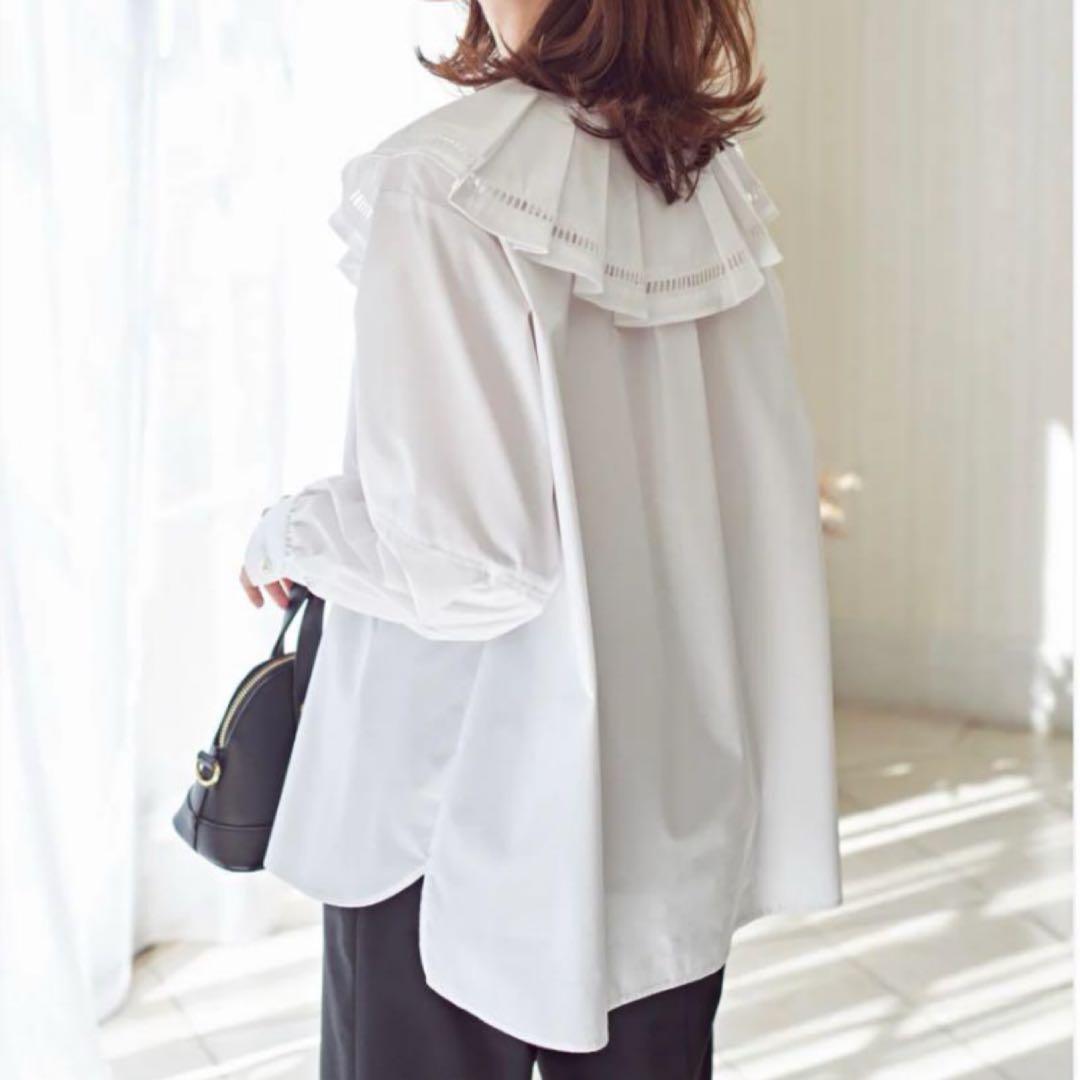 美品 メゾンエシェル ハシゴレースビッグカラーシャツ