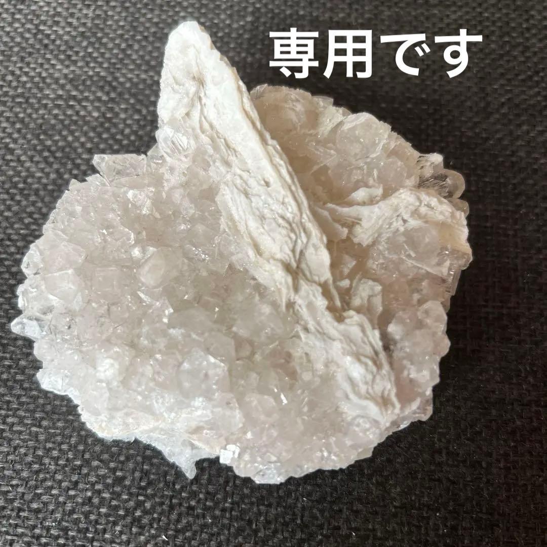 こはみつ様 リクエスト 3点 まとめ商品