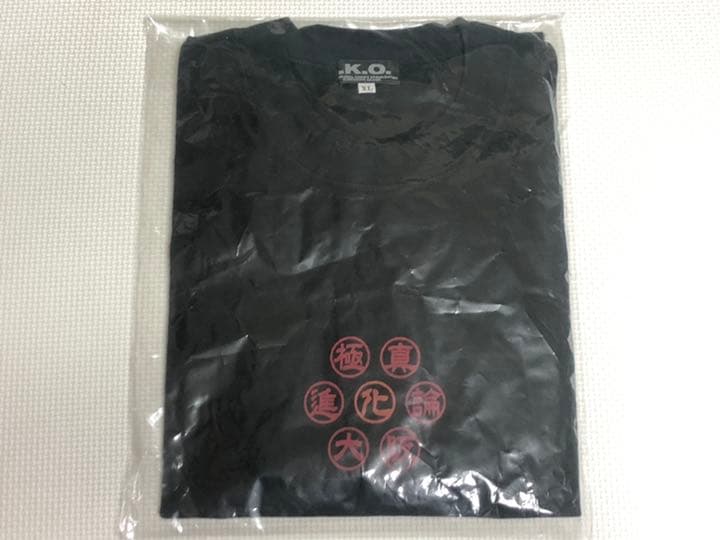極真空手 Tシャツ
