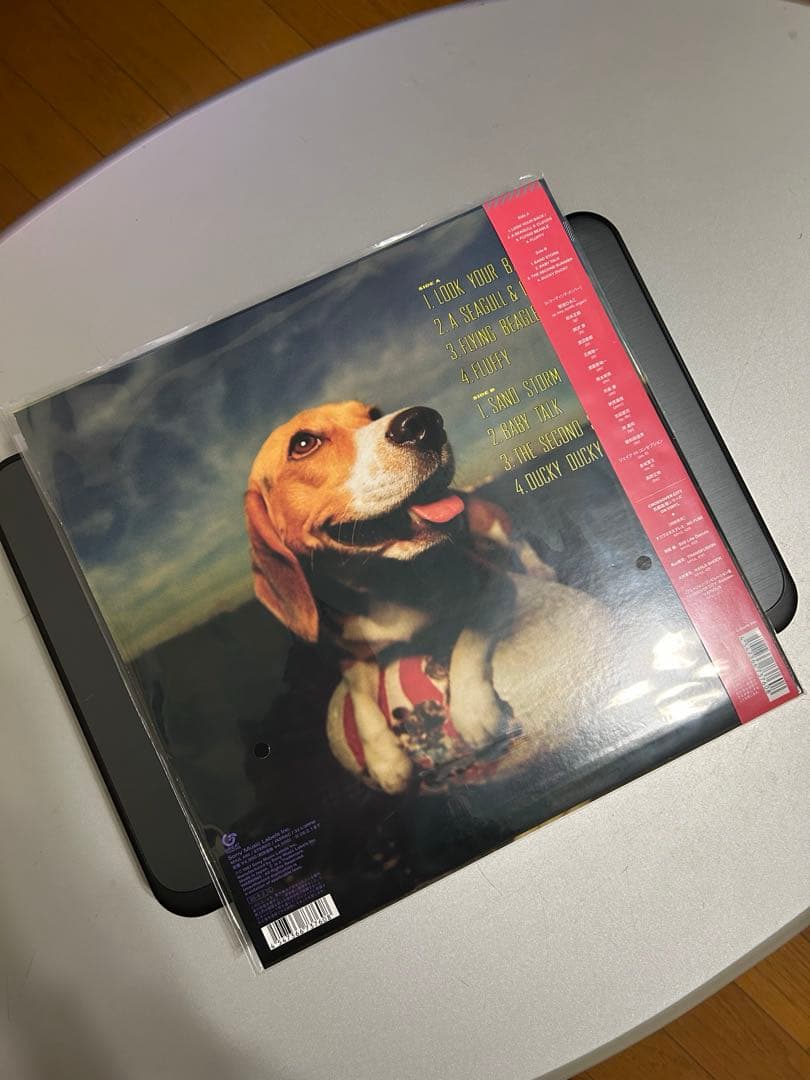 菊池ひみこ　LPレコード FLYING BEAGLE 完全生産限定盤