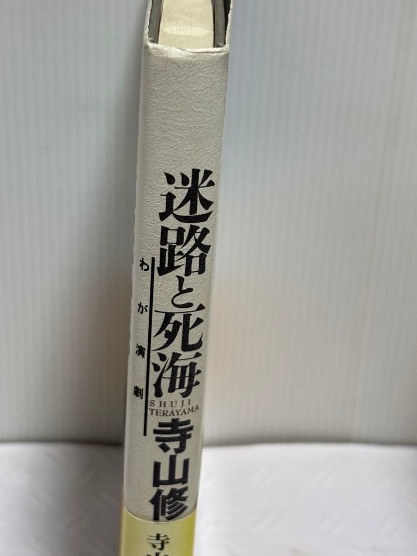 迷路と死海 わが演劇　新装版　寺山修司