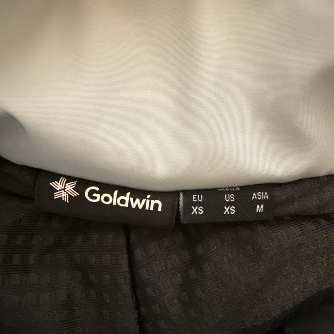 GOLDWIN Thebe GTX Pants ベイパーグレー