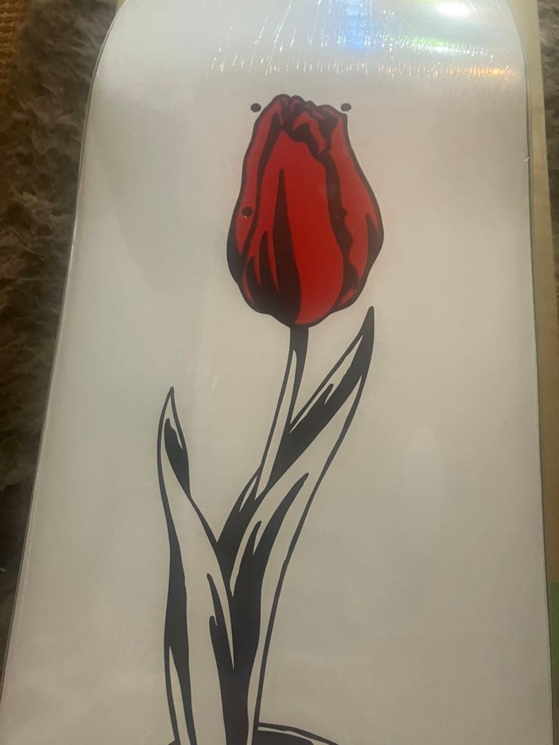 スケートボード WASTED YOUTH Skateboard Deck VERDY