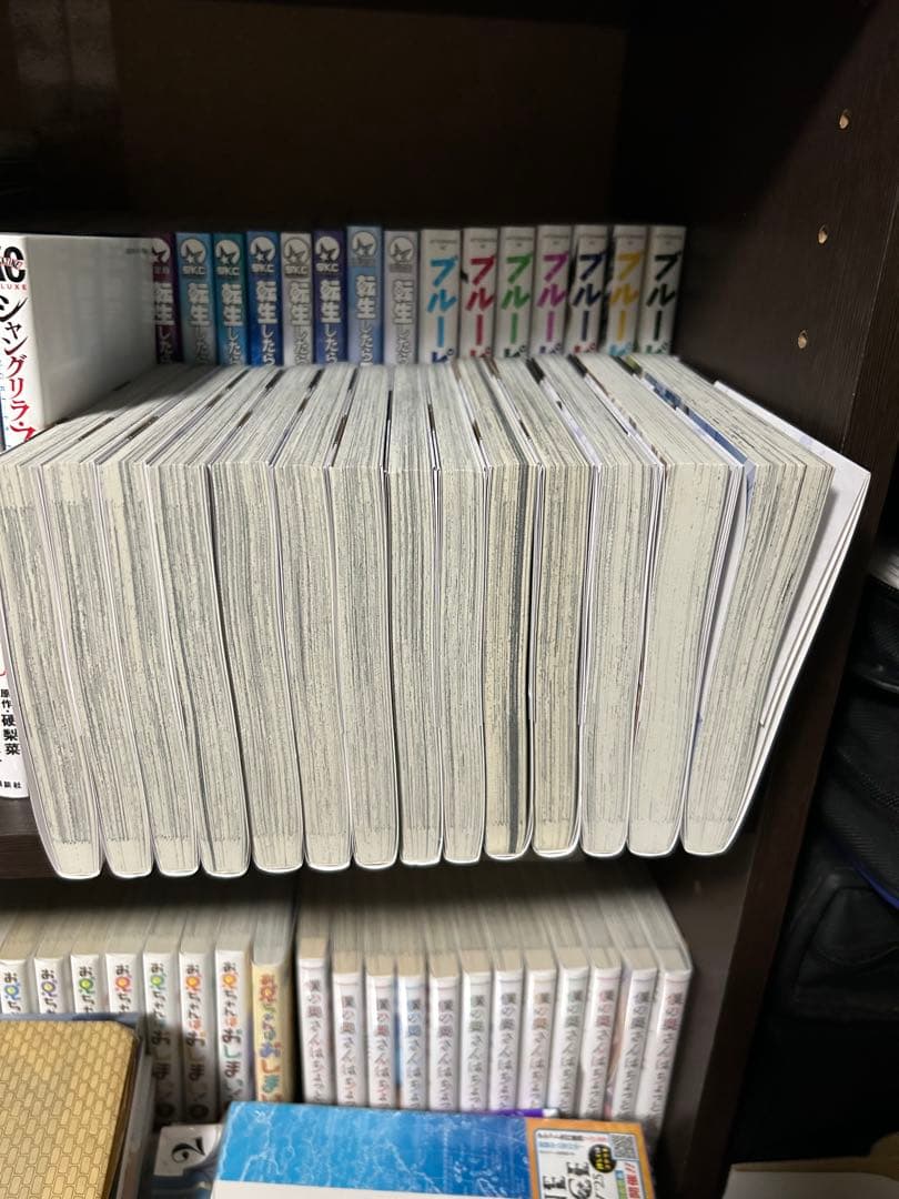 火*夜様 穏やか貴族の休暇のすすめ　1〜14巻