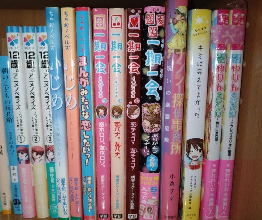 小説 バラ売り