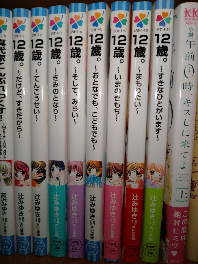 小説 バラ売り
