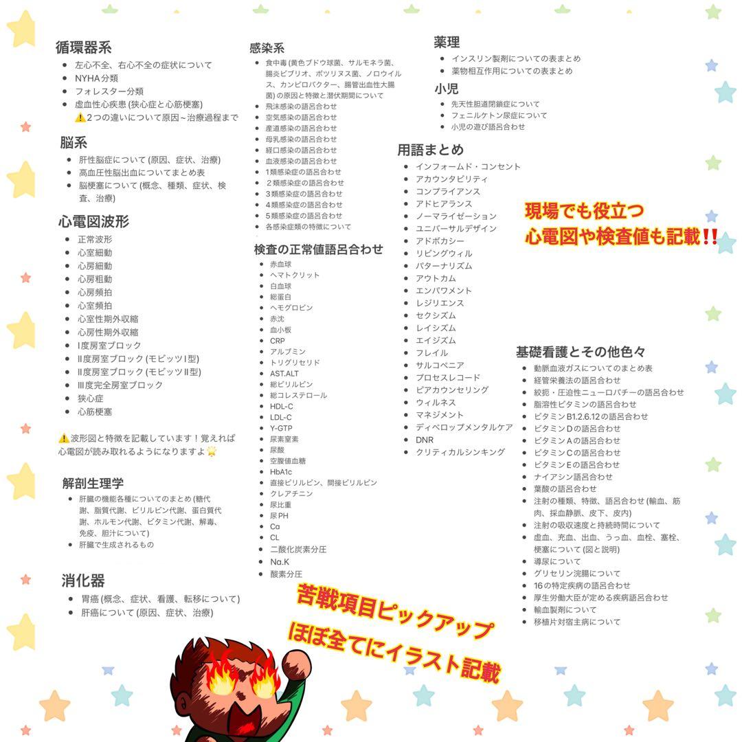 激安‼️ 看護師国家試験まとめノート 国試 解剖生理学 看護学生 付箋ノート￼