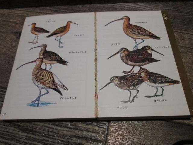 ケイブンシャの大百科　86　野鳥大百科　昭和56年初版